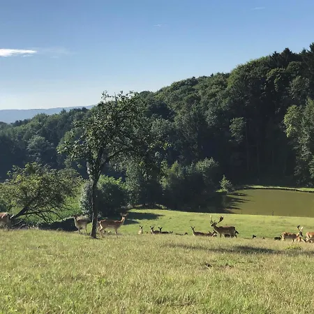 Eko-hof شقة Mitterlabill