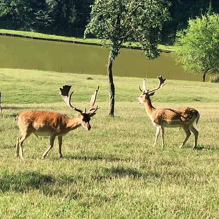 Eko-hof شقة Mitterlabill