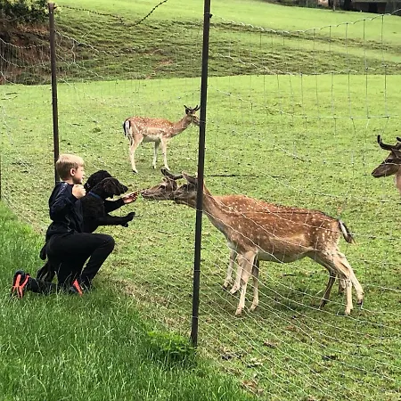 Eko-hof شقة Mitterlabill